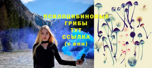 МДПВ Протвино