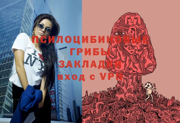дживик Арсеньев